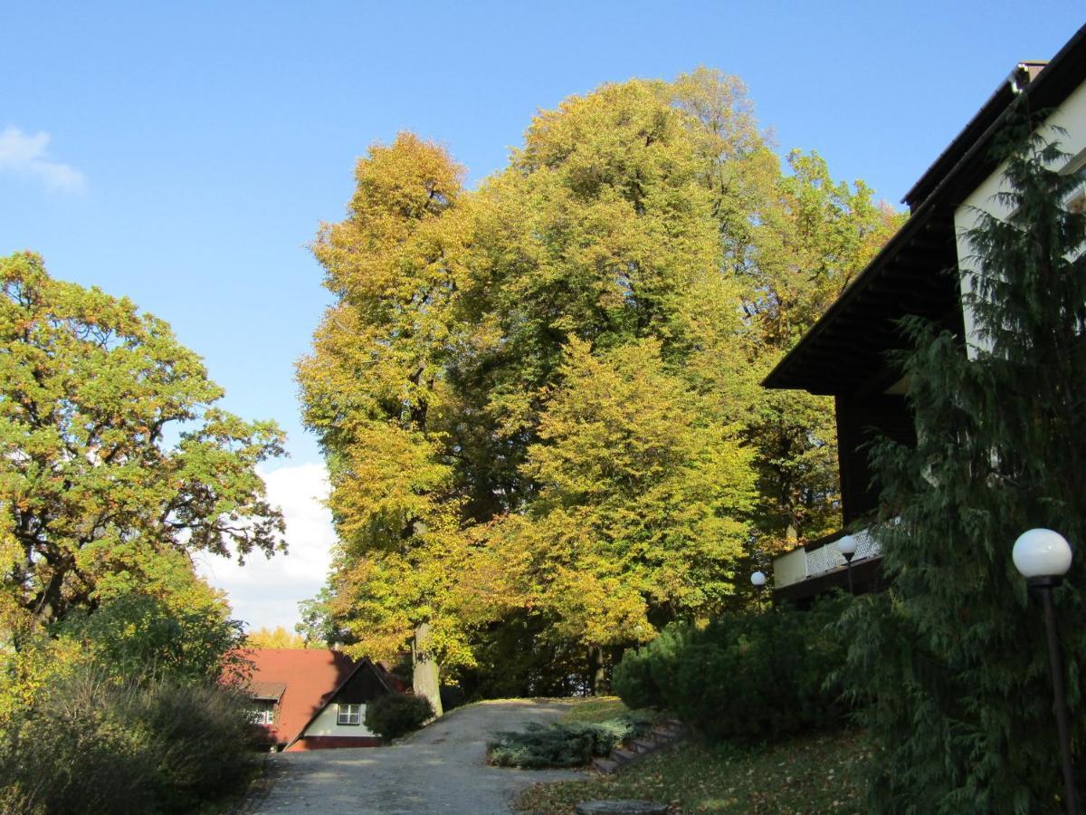 Sola Gratia Hotel Bystrice pod Hostynem Exterior photo